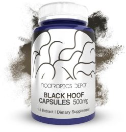 Black Hoof Mushroom Capsules