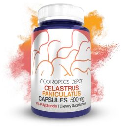 Celastrus paniculatus Extract Capsules