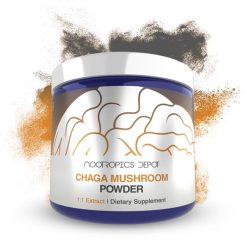 Chaga Mushroom Extract Powder