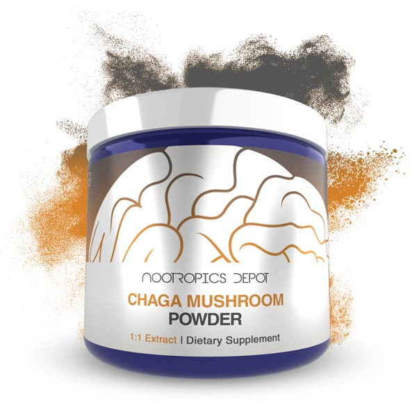 Chaga Mushroom Extract Powder