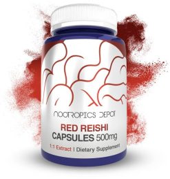 Red Reishi 1:1 Capsules