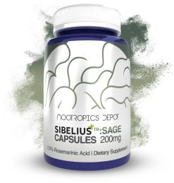 Sibeliusâ„¢ Sage Capsules | 2.5% Rosmarinic Acid