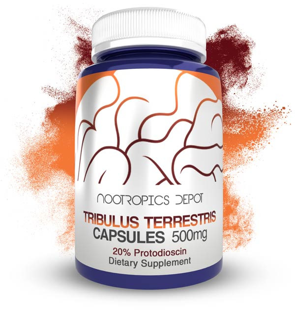 Tribulus terrestris Extract Capsules | 20% Protodioscin